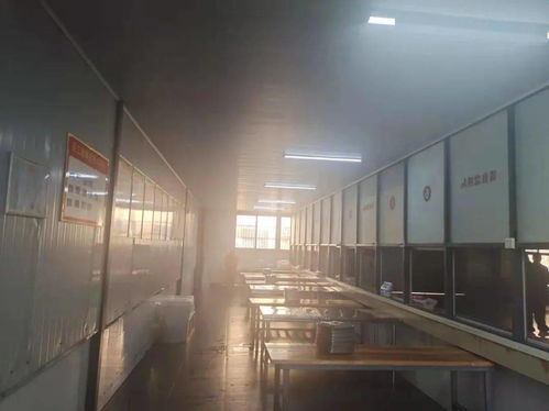 阜城两所学校食堂突击检查结果曝光 守护学生餐桌安全，法图信息传递监管决心